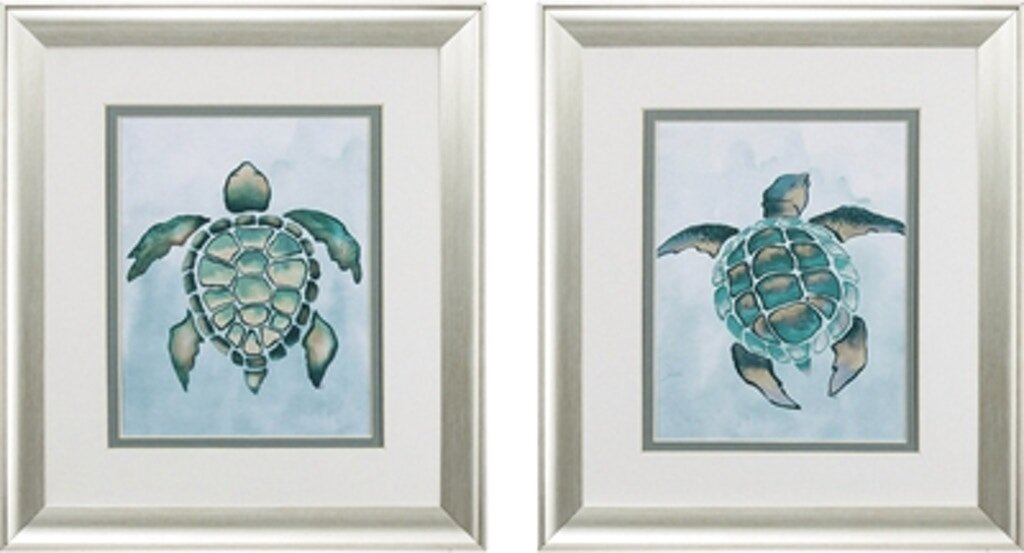 CUADRO DUES DECORATIVO TORTUGA ACUÁTICA