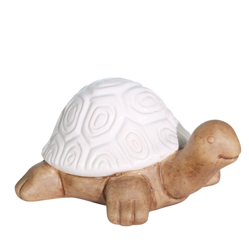 TORTUGA BLANCA CHICA