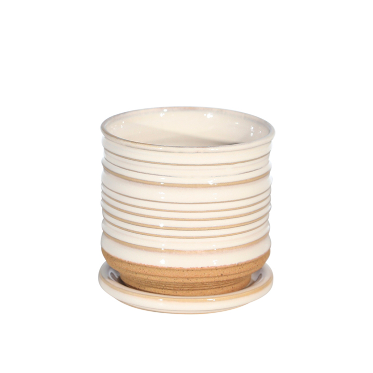 Maceta blanca con plato