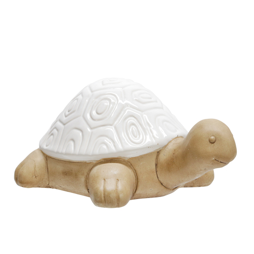 TORTUGA BLANCA GRANDE