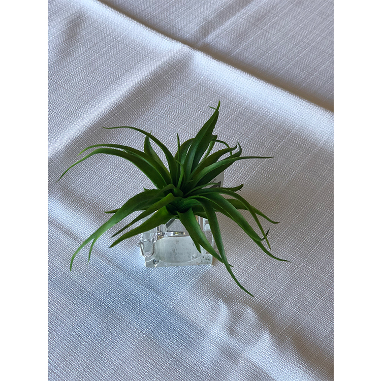 Anillo para Servilleta