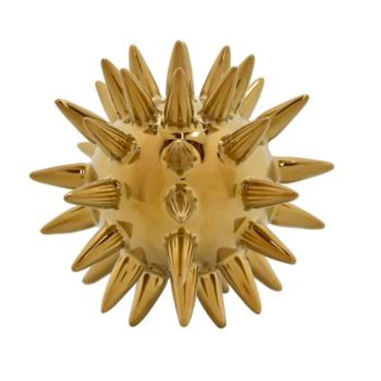 Erizo Dorado
