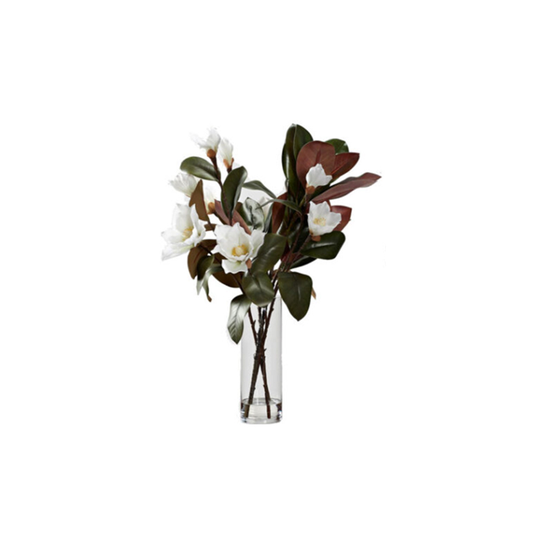Tallo de magnolia blanco en cristal