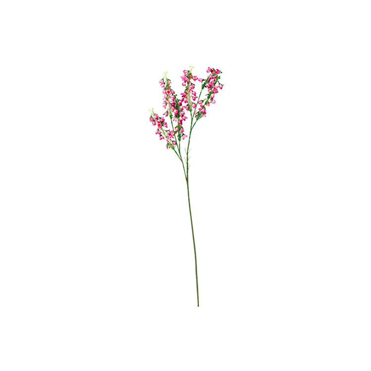 BABY BLOSSOM ROSA